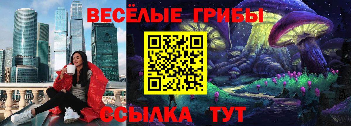 Гусь-Хрустальный  Галлюциногенные грибы Cubensis  Вход с VPN 