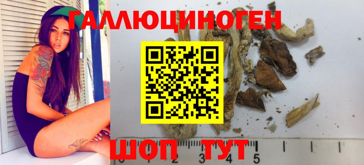 Галлюциногенные грибы GOLDEN TEACHER Гусь-Хрустальный